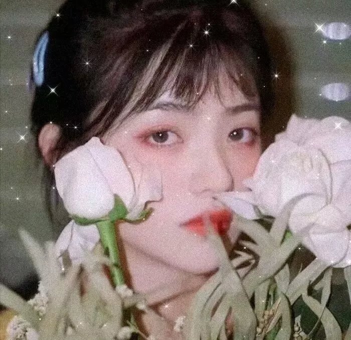 福尔摩斯小姐